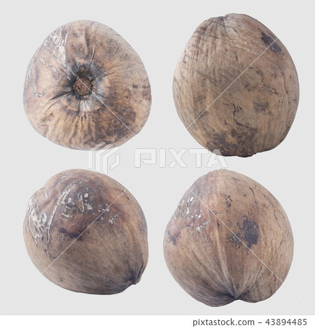 coconuts isolated on gray background clipping path 43894485
