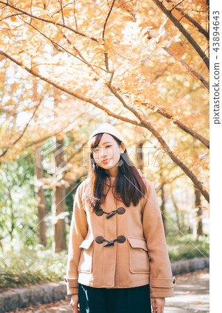  Metasequoia tree-lined tree and woman 43894643