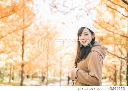  水杉綠樹成蔭的樹和婦女 43894653