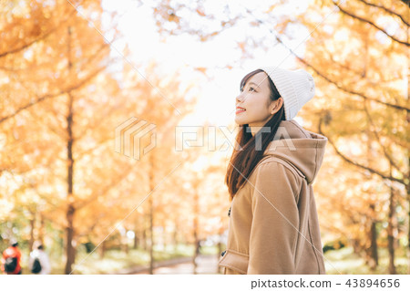  Metasequoia tree-lined tree and woman 43894656