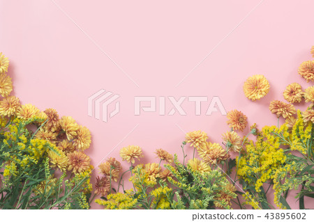 Golden-daisy flowers as border on pastel pink 43895602
