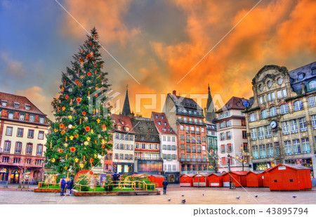 Christmas tree at the Christmas Market in Strasbourg, France Christmas tree at the Christmas Market in Strasbourg, France 43895794