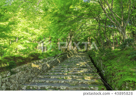 Baekjeji Baekjeji 43895828