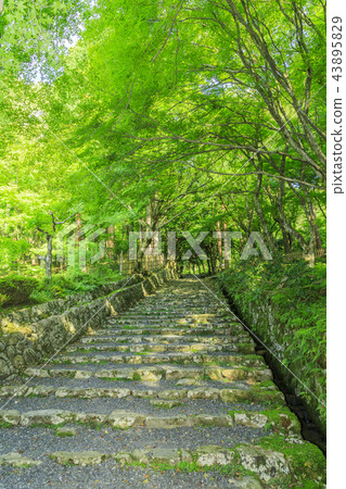 Baekjeji Baekjeji 43895829