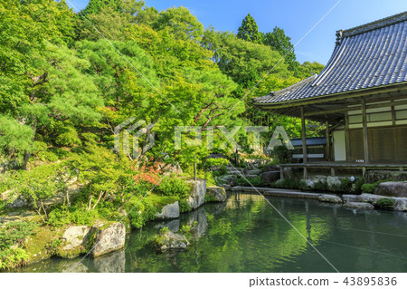 Baekjeji Baekjeji 43895836