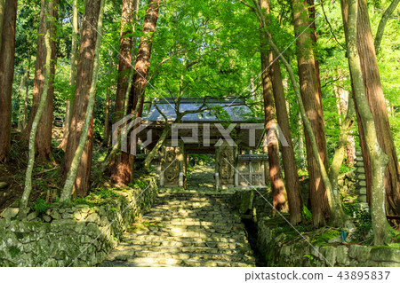 Baekjeji Baekjeji 43895837
