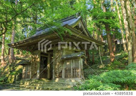 Baekjeji Baekjeji 43895838