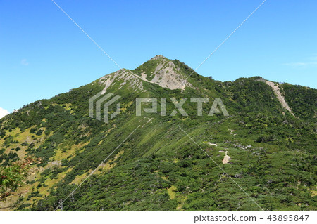 The way to the Southern Alps Mitsukake (Tateri only) The way to the Southern Alps Mitsukake (Tateri only) 43895847