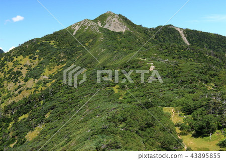 The way to the Southern Alps Mitsukake (Tateri only) 43895855