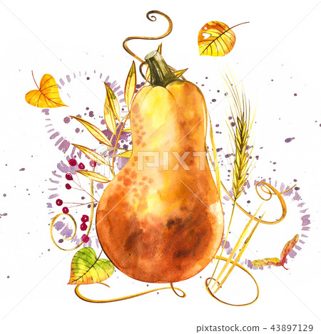 Watercolor hand drawn illustration of pumpkin with paint splashes. Orange food. Art fresh watercolor 43897129