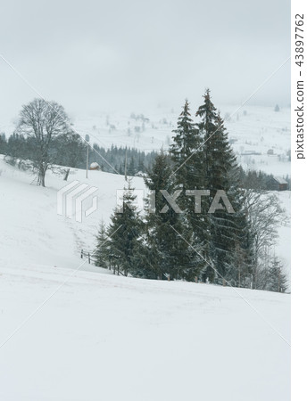 Early morning winter mountain village landscape 43897762