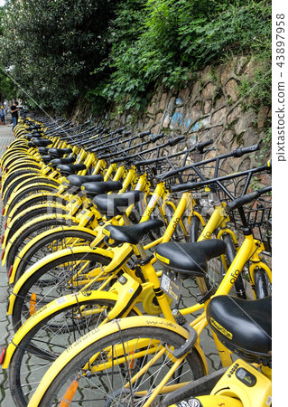 OFO sharing bicycles parked at the bicycle sharing OFO sharing bicycles parked at the bicycle sharing 43897958