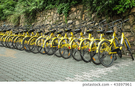 OFO sharing bicycles parked at the bicycle sharing OFO sharing bicycles parked at the bicycle sharing 43897961