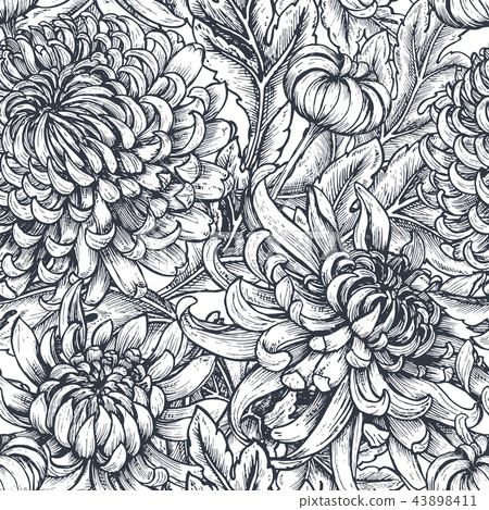 Vector seamless pattern with hand drawn chrysanthemum flowers 43898411