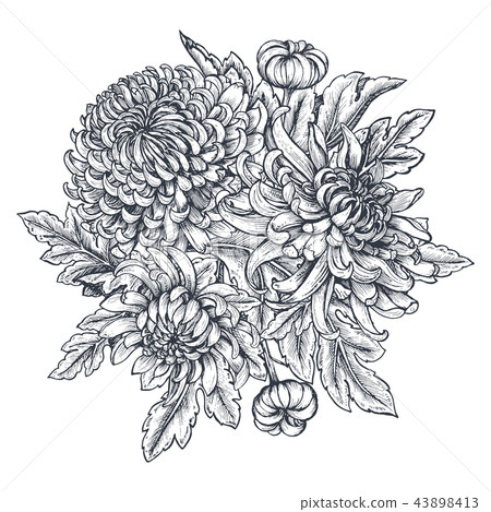 Vector bouquet with hand drawn chrysanthemum... - Stock Illustration ...