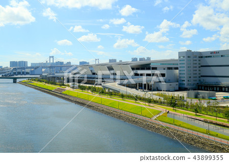 豐洲市場 43899355