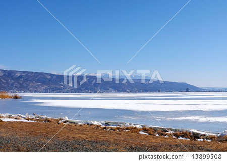 【長野縣】在“Okami Pass”出現時被凍結的Su訪湖的風景 43899508