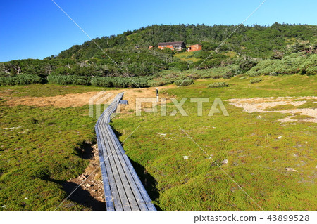 Road to the Southern Alps Mitsukake (Tegari only) 43899528