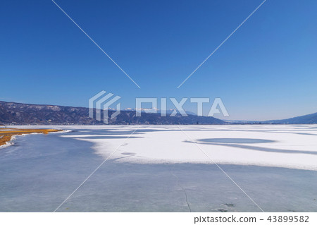 [長野縣] Su訪湖，在Okami Passage發生時完全結冰 43899582