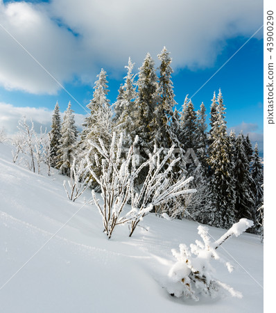 Winter mountain snowy landscape 43900290