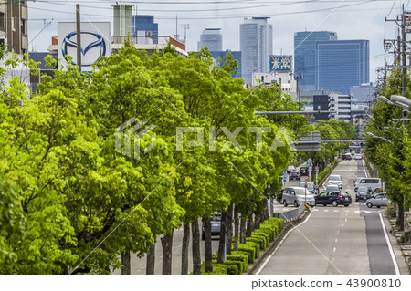 愛知縣名古屋市景觀北區En本島 43900810