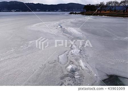 [長野縣]大上通道/ Omiwarata Lake Suwa（Akasandaki Park Grand附近）2018 43901009