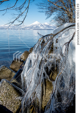 It is an unusual phenomenon and the lake surface in winter is not frozen and the wave spray constantly freezes like a beautiful sculpture. 43901149