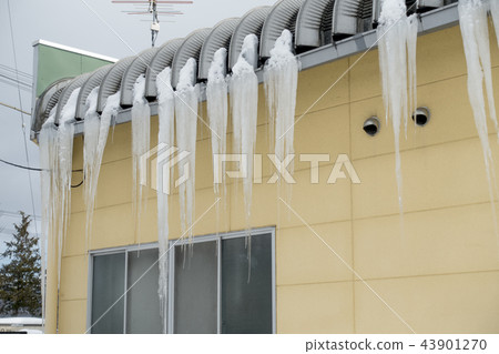 Daily landscape of icicle icicle snow country hanging from the roof eaves of a private house Daily landscape of icicle icicle snow country hanging from the roof eaves of a private house 43901270