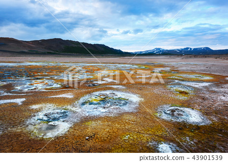 Smoking fumaroles on Hverarond valley 43901539