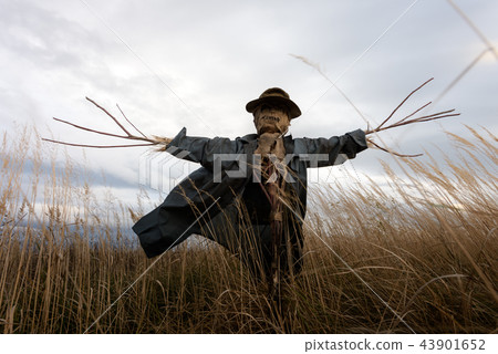 Scary scarecrow in a hat 43901652
