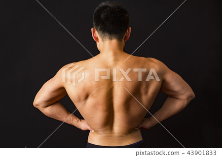 訓練肌肉的男人 訓練肌肉的男人 43901833