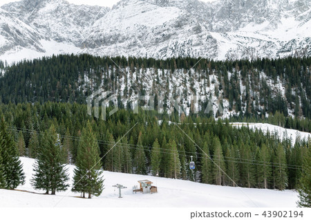 Alps mountains covered in snow and forest Alps mountains covered in snow and forest 43902194