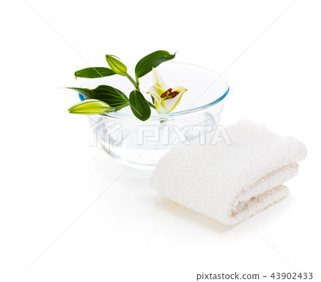 spa setting with lily isolated on white background spa setting with lily isolated on white background 43902433