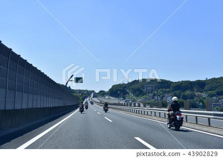 中央路的風景 中央路的風景 43902829