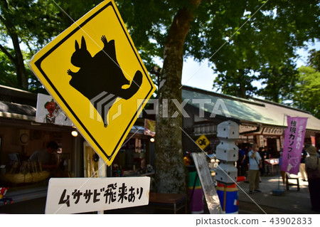 Musa rust note Musa rust note 43902833