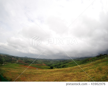 natural landscape with green tropical mountain  43902976