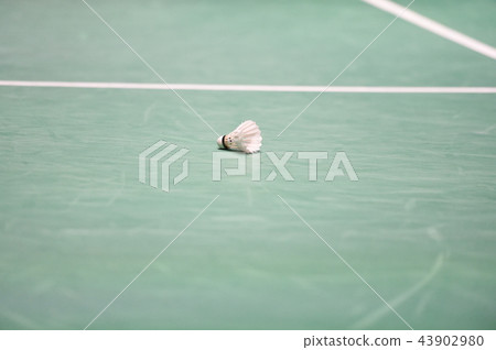 羽毛球 43902980