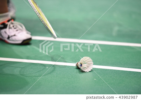 badminton 43902987
