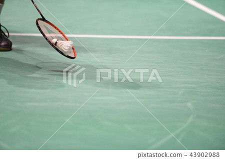 羽毛球 43902988