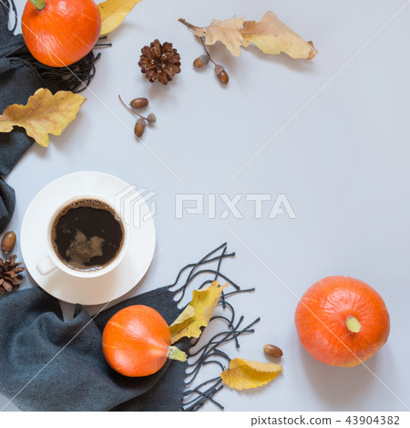 Still life, coffee, scarf and pumpkin on grey. Still life, coffee, scarf and pumpkin on grey. 43904382