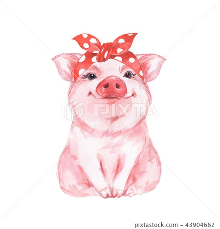 FFunny pig wearing bandana 1 FFunny pig wearing bandana 1 43904662