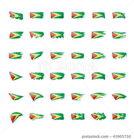 Guyana flag, vector illustration on a white background. 43905730