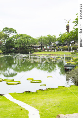 Sea hell lotus pond 43906353