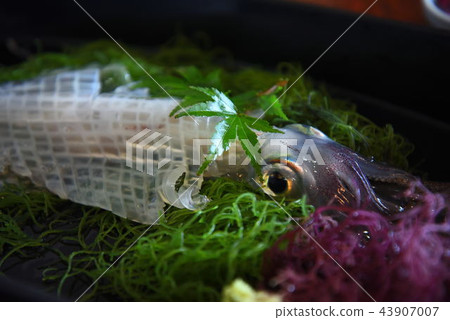 Hot water of Yobo 43907007