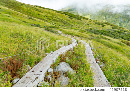 綠色山和山徑 43907218