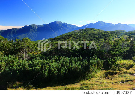 從南阿爾卑斯山Mitsudake山頂的視圖 從南阿爾卑斯山Mitsudake山頂的視圖 43907327