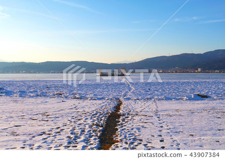 [Nagano Prefecture] At the time of the appearance of Hatsushima's "God Crossing", the scenery of Lake Suwa that formed ice 43907384