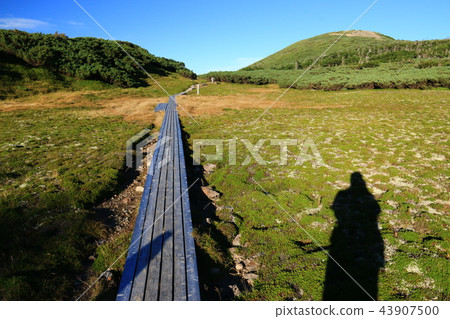 Road to the summit of the Southern Alps Mitsukada Scenery of Senjigahara directly below the Gokudake hut Tree path and Izargatake Road to the summit of the Southern Alps Mitsukada Scenery of Senjigahara directly below the Gokudake hut Tree path and Izargatake 43907500