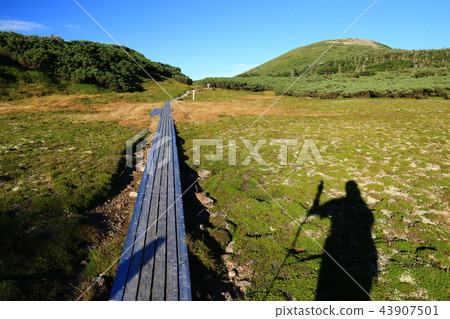 Road to the summit of the Southern Alps Mitsukada Scenery of Senjigahara directly below the Gokudake hut Tree path and Izargatake Road to the summit of the Southern Alps Mitsukada Scenery of Senjigahara directly below the Gokudake hut Tree path and Izargatake 43907501