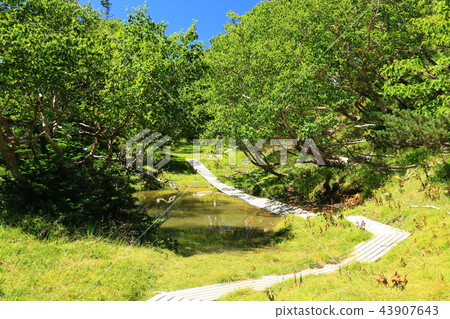 Road to the Southern Alps Mitsukake (Tegari only) Longitudinal route around Nitaike 43907643